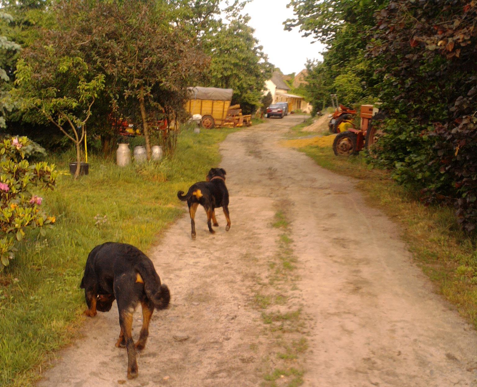 gro&szlig;e Beispiel Bilder
